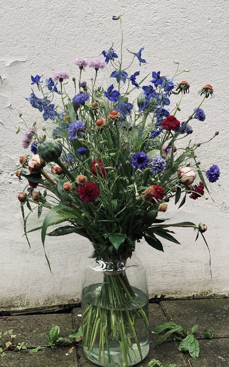your flowers 109
